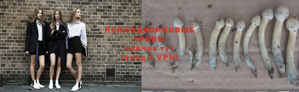 ALPHA PVP Бугульма