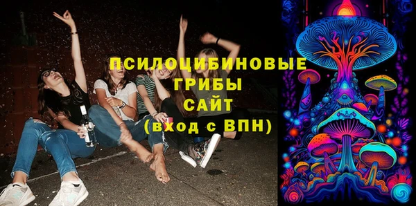 эйфоретик Богданович