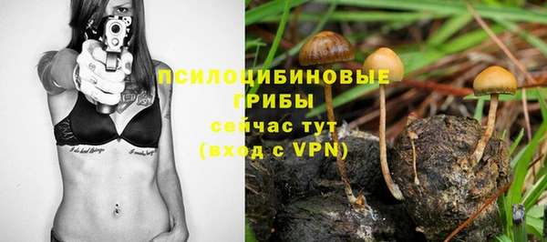 эйфоретик Богданович