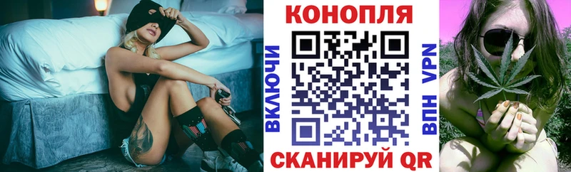 Купить закладки  Межгорье  Марихуана сатива 